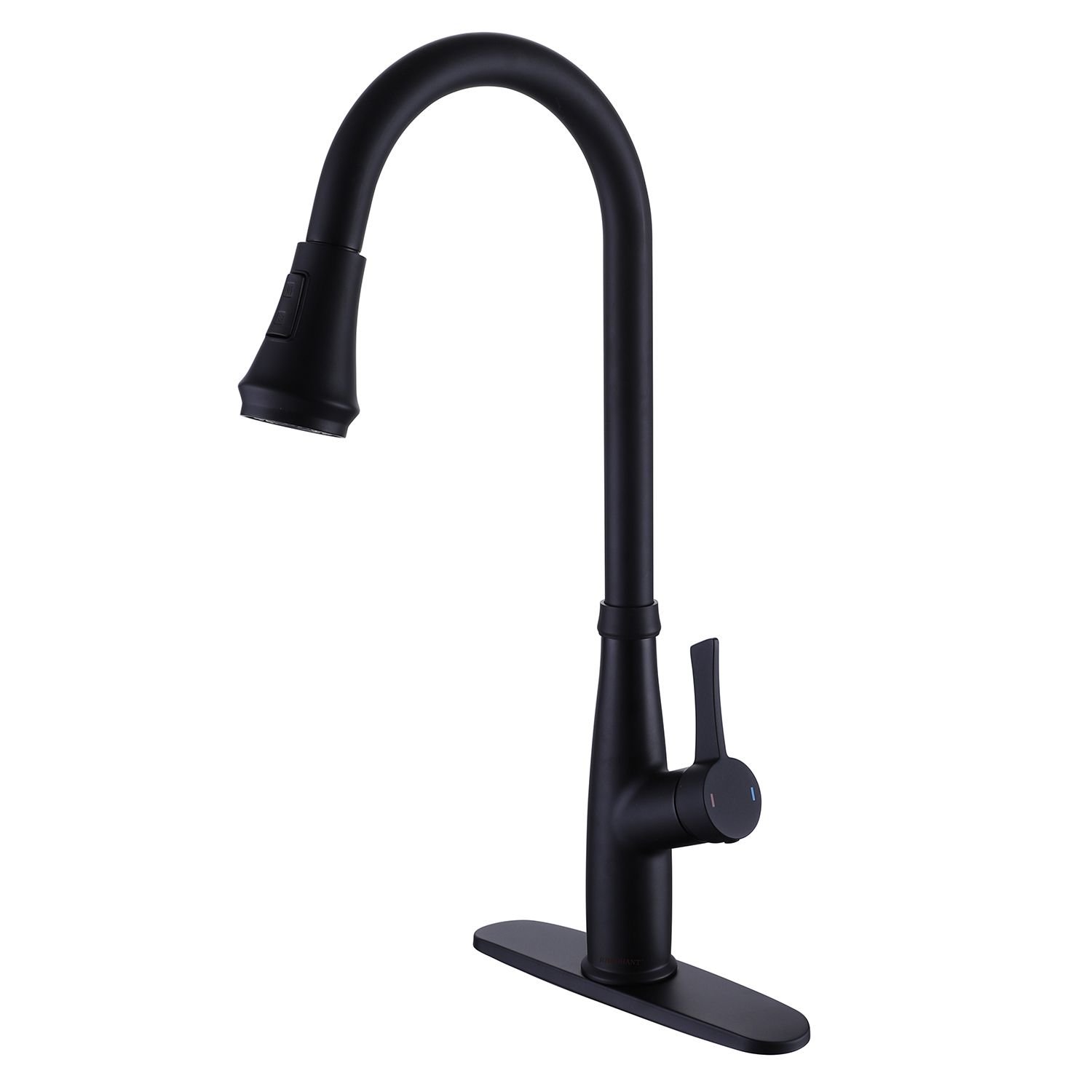 Single Handle Kitchen Sink Faucet with Pull Down Sprayer Matte Black