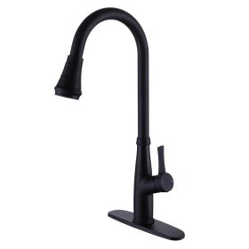 Single Handle Kitchen Sink Faucet with Pull Down Sprayer Matte Black